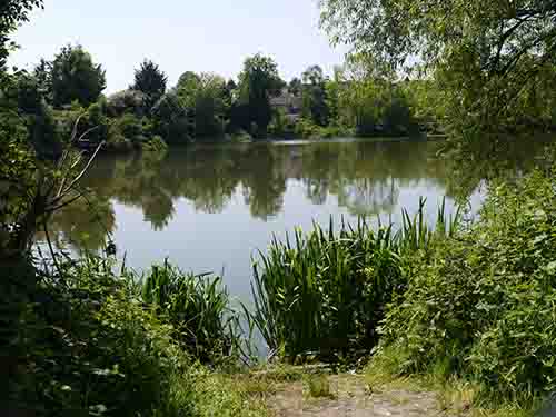DDAPS Presidents Lake