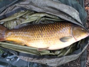 Bob Lipscomb 24Lb 4.9.19