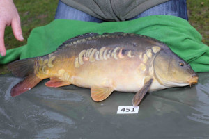 Stocked November 2013