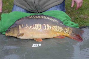 Stocked November 2013