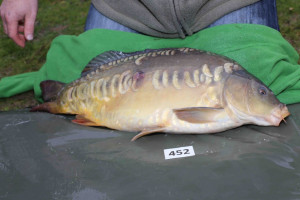 Stocked November 2013