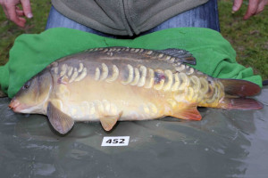 Stocked November 2013