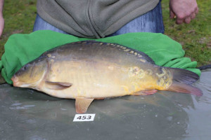 Stocked November 2013