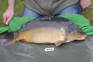 Stocked November 2013