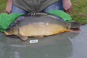 Stocked November 2013