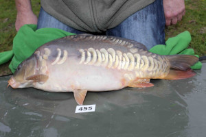 Stocked November 2013