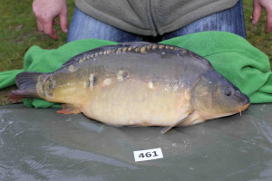 Stocked November 2013