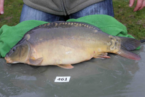 Stocked November 2013