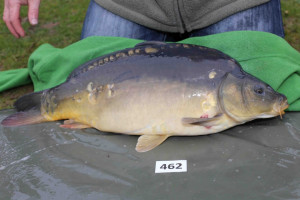 Stocked November 2013