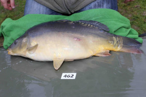 Stocked November 2013