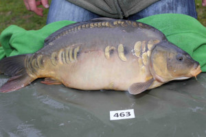 Stocked November 2013