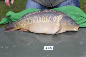 Stocked November 2013