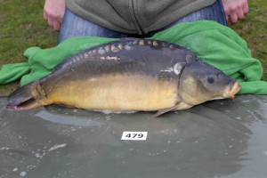 Stocked November 2013