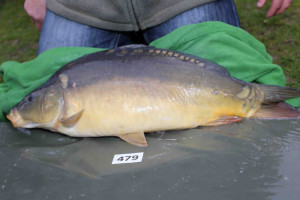 Stocked November 2013