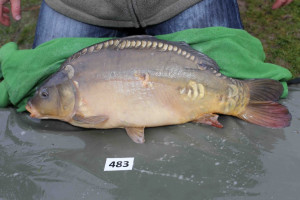 Stocked November 2013