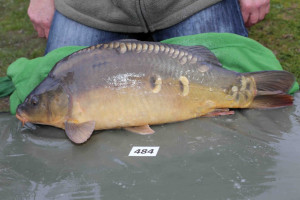 Stocked November 2013