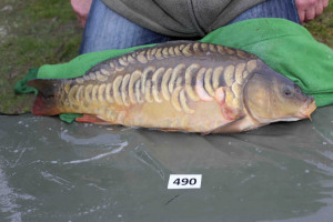 Stocked November 2013