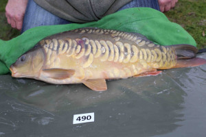 Stocked November 2013