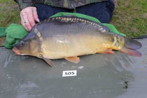 Stocked November 2013