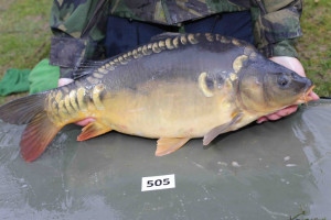 Stocked November 2013