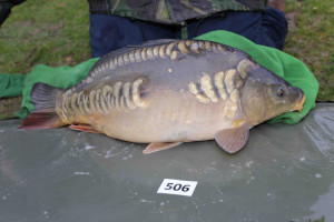 Stocked November 2013