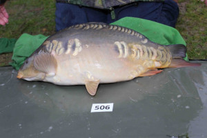 Stocked November 2013