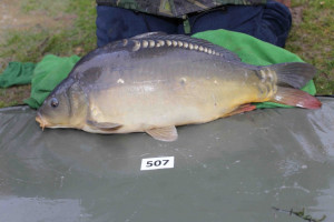 Stocked November 2013