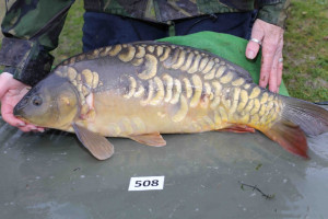 Stocked November 2013