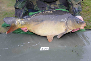 Stocked November 2013