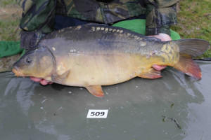 Stocked November 2013