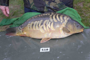 Stocked November 2013