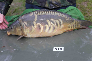 Stocked November 2013