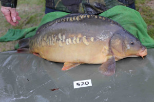 Stocked November 2013