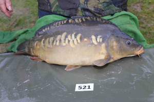 Stocked November 2013