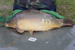 Stocked November 2013