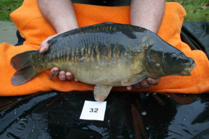 Stocked November 2011