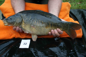 Stocked November 2011