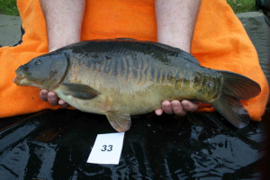 Stocked November 2011