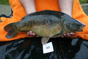 Stocked November 2011