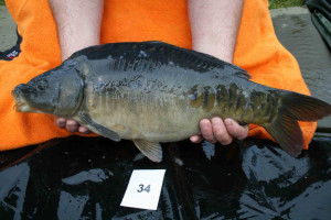 Stocked November 2011