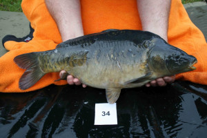 Stocked November 2011