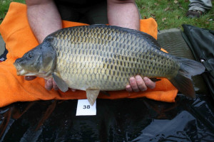 Stocked November 2011