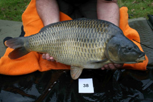 Stocked November 2011