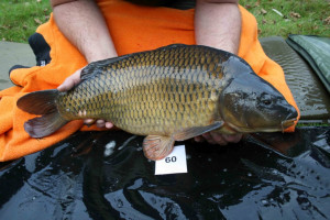 Stocked November 2011