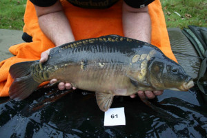 Stocked November 2011