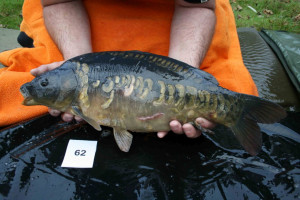 Stocked November 2011