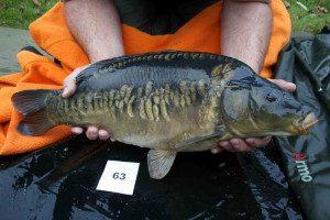 Stocked November 2011