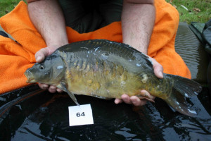 Stocked November 2011