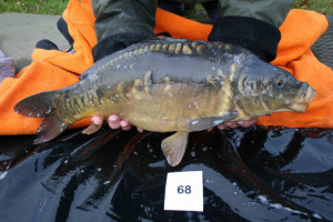 Stocked November 2011