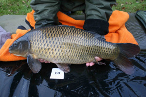 Stocked November 2011